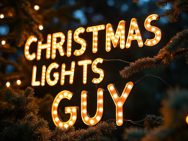 Christmas Lights Guy